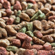 background of cat food