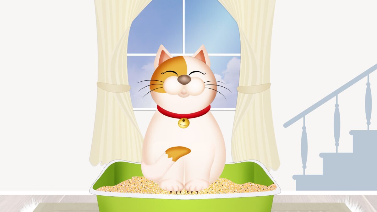 Illustration of cat in litter box