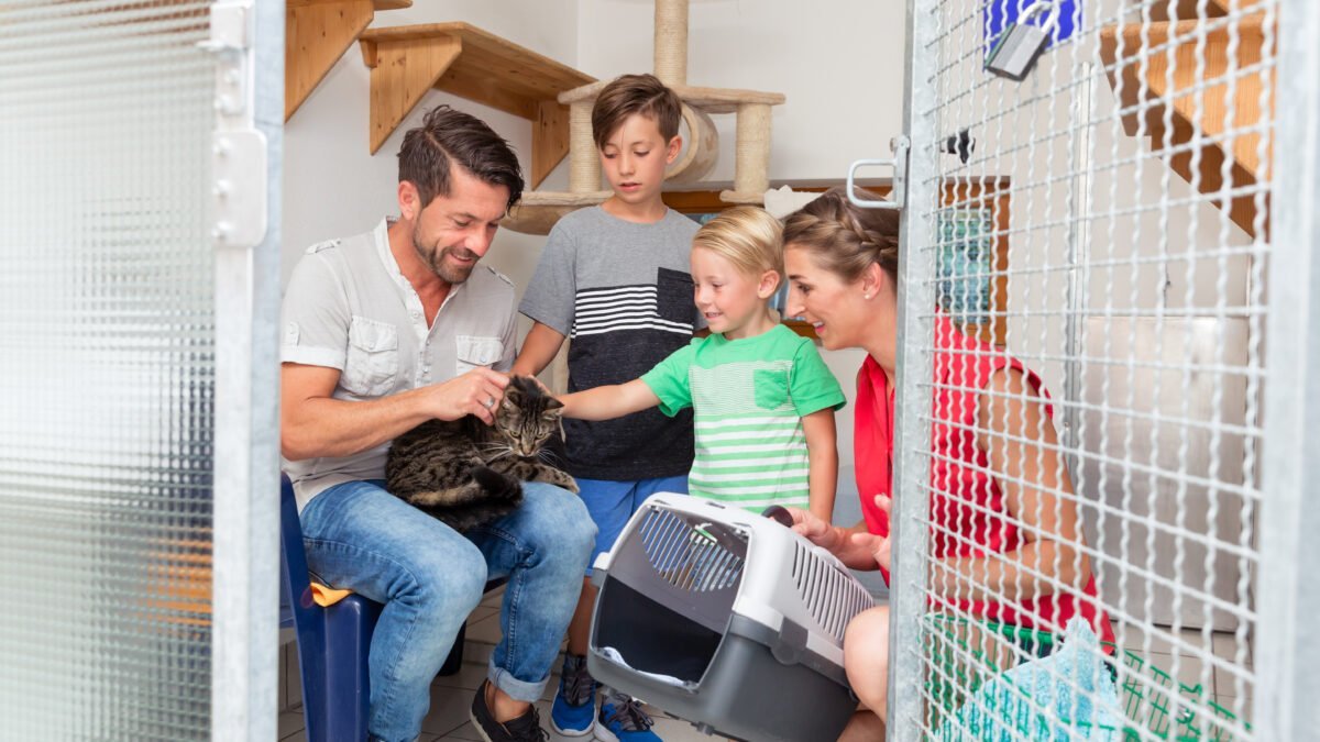 Family adopting cat from animal shelter