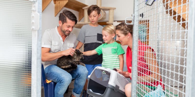 Family adopting cat from animal shelter