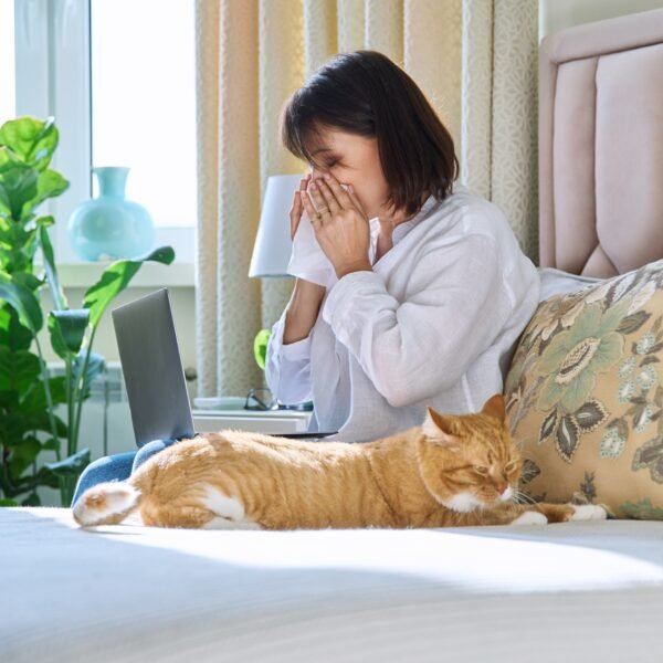 Woman sneezing allergic to domestic cat fur