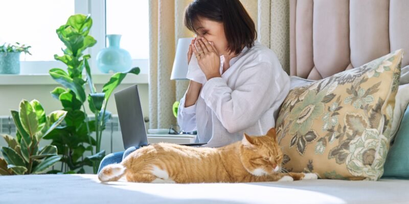 Woman sneezing allergic to domestic cat fur