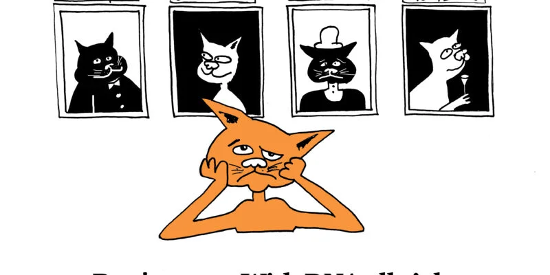 comedy cat dna test