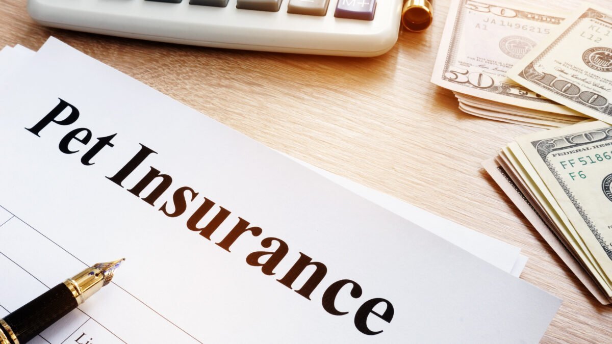 Pet Insurance policy in insurance agency.