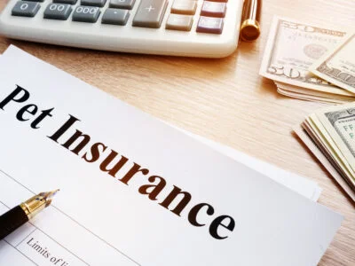 Pet Insurance policy in insurance agency.