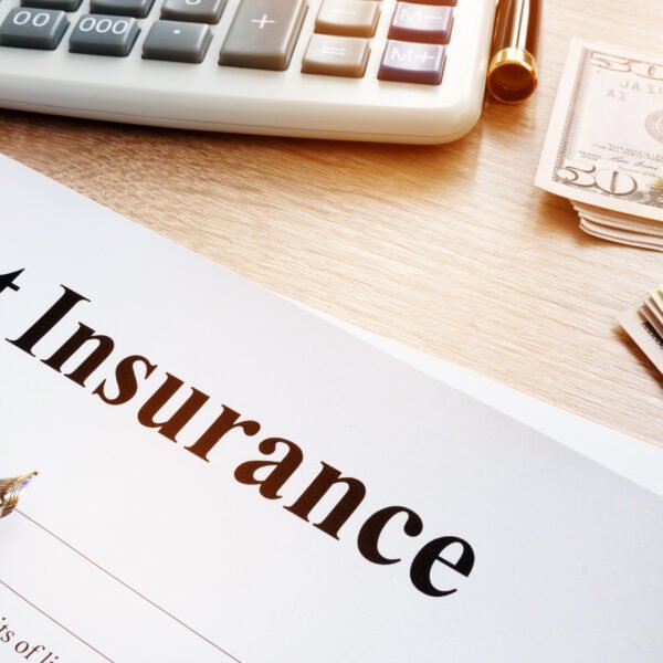 Pet Insurance policy in insurance agency.