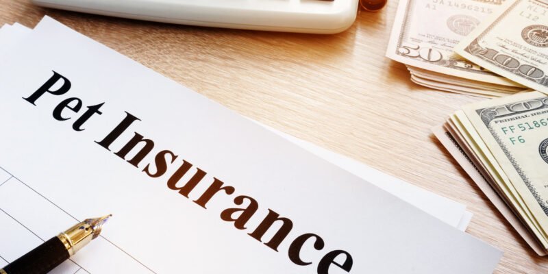 Pet Insurance policy in insurance agency.